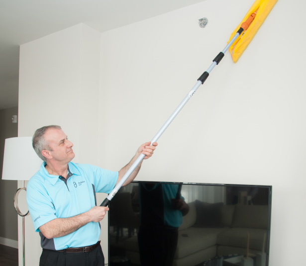 heavy duty house cleaning adele plus need job cleaning houses