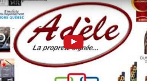 adele-pub-menage